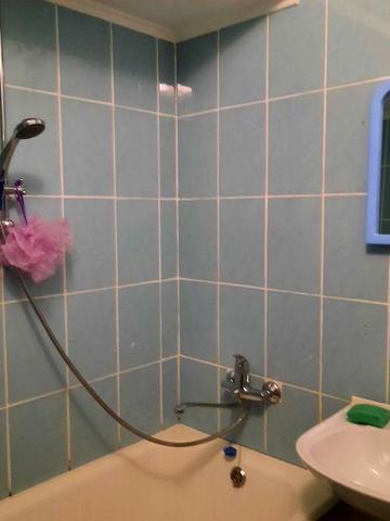 Аренда отличной 1 комнатной квартиры в Лесках