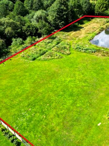 Верхнє Синьовидне, Стрийський, Львівська область 45000 USD