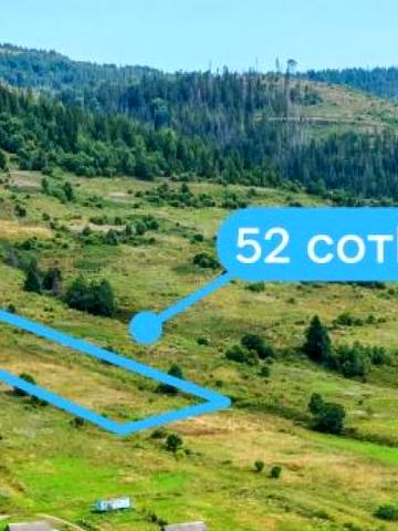 Славське, Стрийський, Львівська область 106000 USD