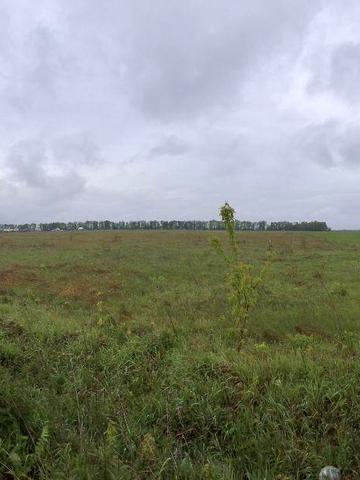 Немішаєве, Бучанський, Київська область 30000 USD