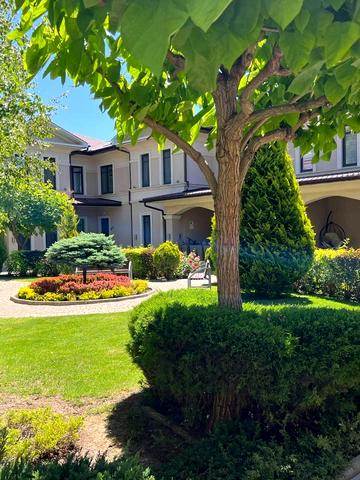 Грецька вул.