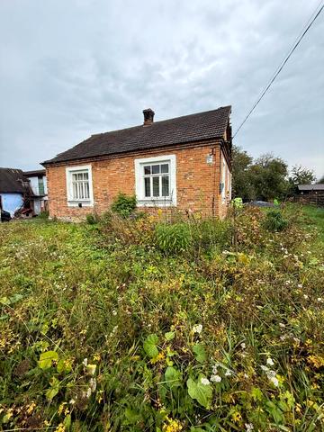 Травнева, 19