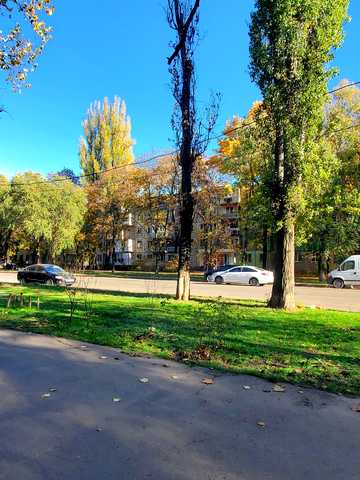 Івана та Юрія Лип вул. (Гайдара), 60