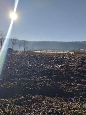 Продам стареньку хатину (участок під забудову))