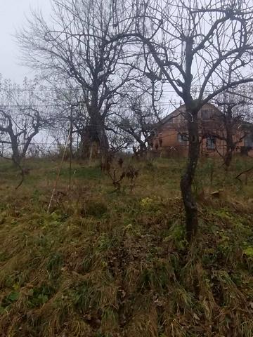 КАЙДАЧАИХА