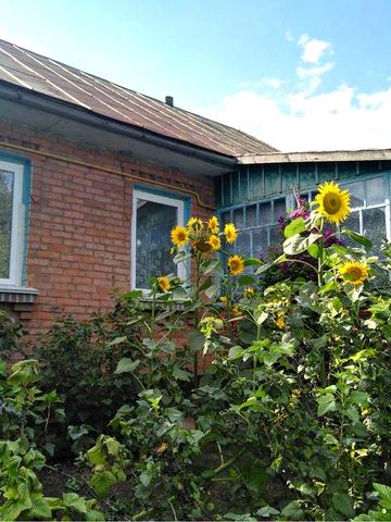 Продам будинок з земельною ділянкою