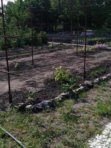 Продам дачу. На берегу р. Волчья. Павлоградский район.