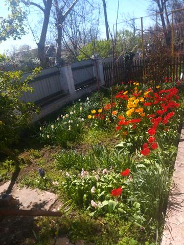 Продаємо дім в Новоселівка, Станція  Раухівка