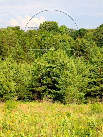 Горбовичі, Бучанський, Київська область 12000 USD