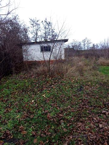 Будиночок в селі