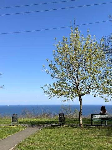 Продаж 1к Квартира Чорноморська вулиця