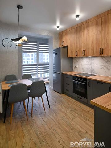 Вячеслава Чорновола вул., 91у