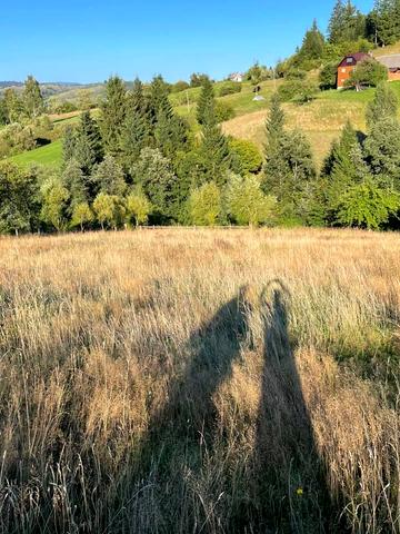 Ясіня, Рахівський, Закарпатська область 40000 USD