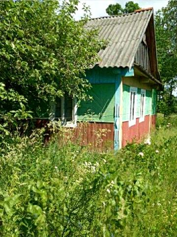 Продам дом в остках