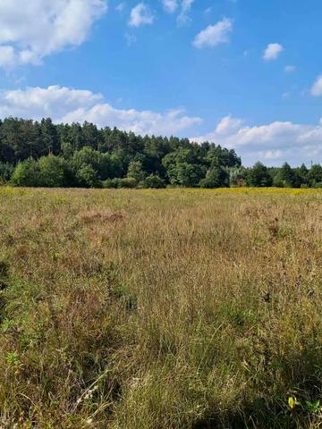 Димер, Вишгородський, Київська область 130000 USD