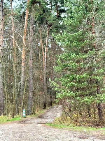 Вороньків, Бориспільський, Київська область 48000 USD