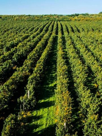 16 Липня вул., 41