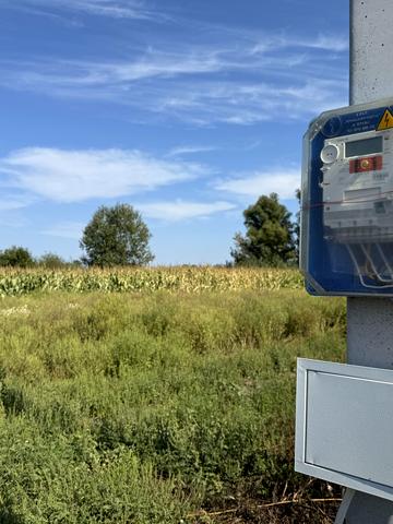 Верболозна