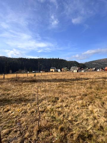 Карпатська