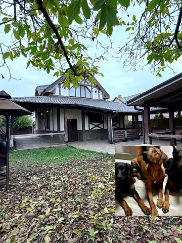 Деснянська вул.