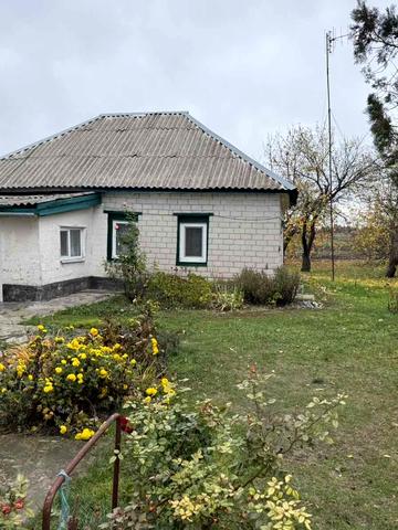 Олександра Зайвого