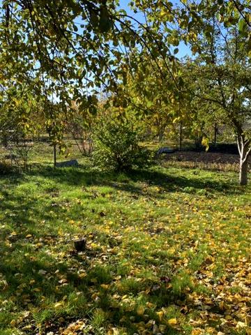 Дача на продаж Підгородне Дніпро