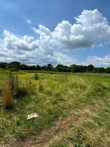 Берегове, Берегівський, Закарпатська область 40000 USD