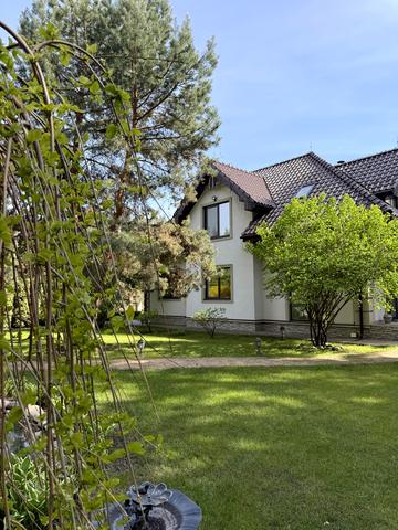 французська, 1