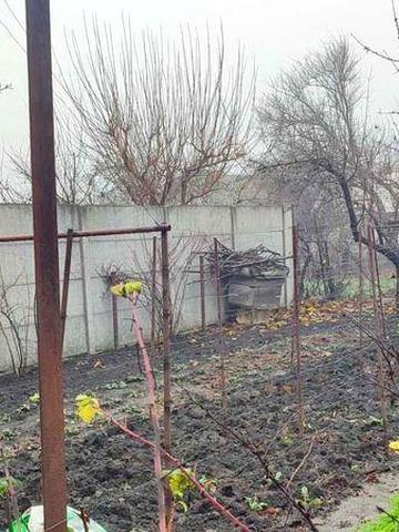 Продаж приватного будинку м. Вольнянск