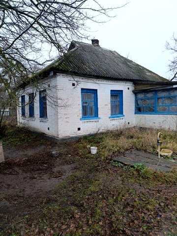 Будинок знаходиться в живописьній місцевісті с.Хоцькі.