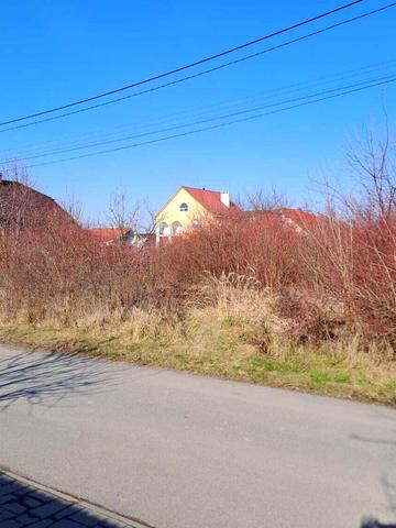 Минай, Ужгородський, Закарпатська область 66000 USD