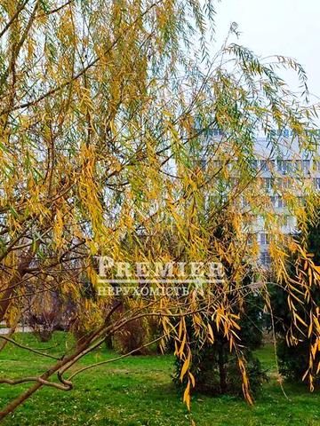 Продаж 2к Квартира Іцхака Рабіна (Йони Якіра) вулиця