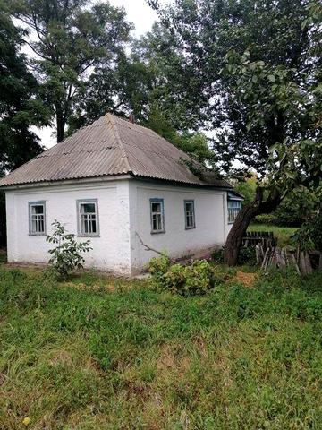 Будинок с. ПІДСТАВКИ Черкаська обл. ЗОЛОТОНІСЬКИЙ  р-н.