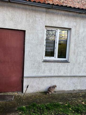 Продам 1км квартиру 38м2 по Улице Конторская,Холодная гора,ЮЖД 15 мин