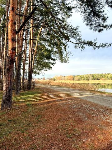 Нове Залісся, Бучанський, Київська область 55000 USD