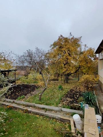 Центральна