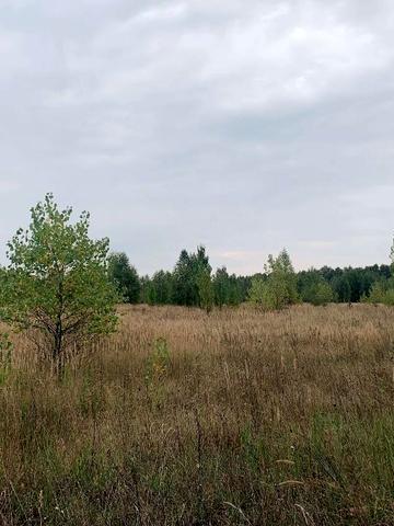 Стригани, Шепетівський, Хмельницька область 25000 USD