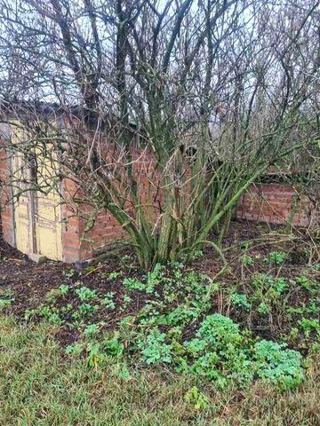 Продам будівлю ( теплиці)