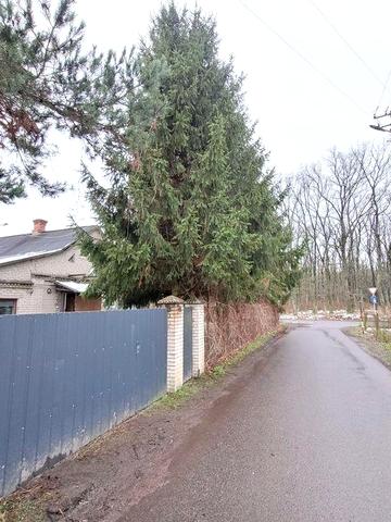 2к.Будинок, с. Гаразджа, 70м2, 6 сотих, Ремонт!