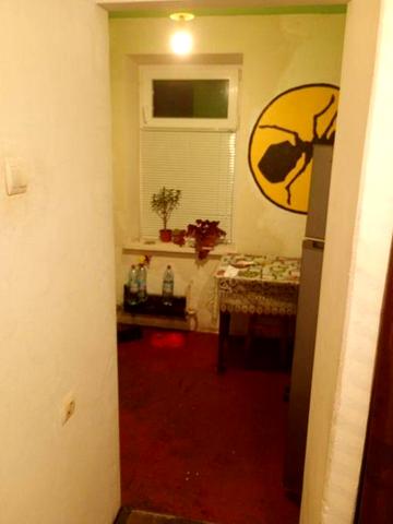 Здається 1 кімнатна квартира на Корольова