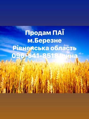 Березне, Рівненський, Рівненська область 2500 USD