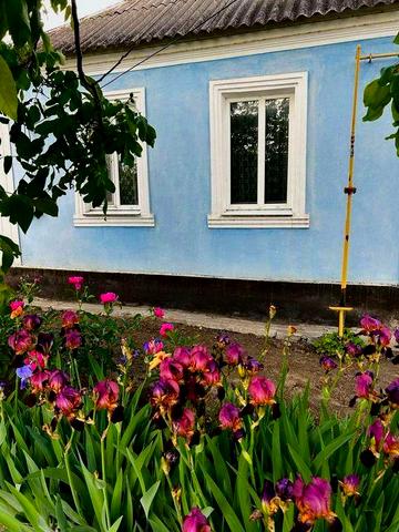 Продаж будинку Вознесенськ, до центра міста 700 м