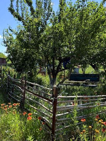 Продам дачу в селі Степанівка