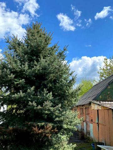 провулок Садовий, 1