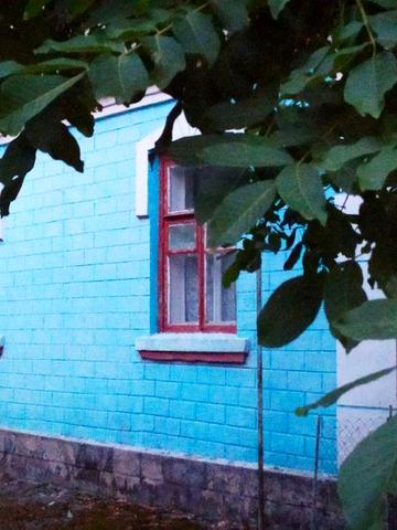 Власний будинок.Вінницька область. Біля  Хмільника. Зозулинці.