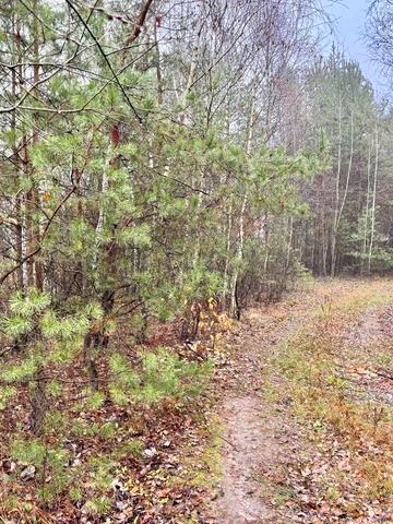 Фасівочка, Бучанський, Київська область 170 USD