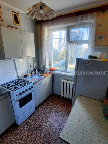 Байрона просп., 144