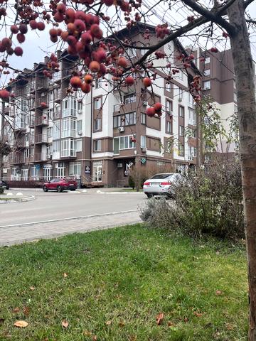 Феодосія Печерського вул. (Піонерська), (Будинок)