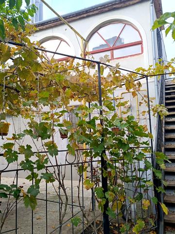 Миру просп. (Леніна), 35