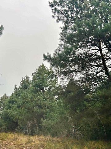 Лишня, Фастівський, Київська область 52500 USD